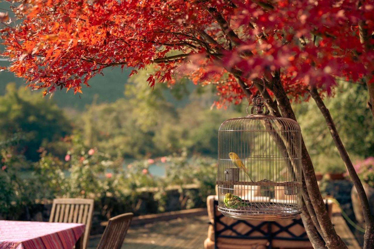 The Apsara Lodge Яншо Экстерьер фото